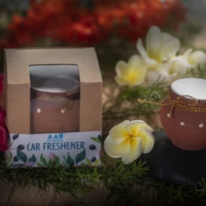 Natural Car Freshner