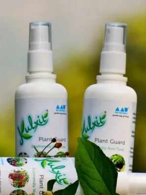 Kulxit Plant Guard - Image 2